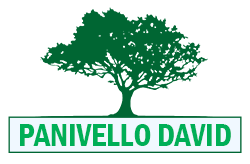 elagage-panivello-david